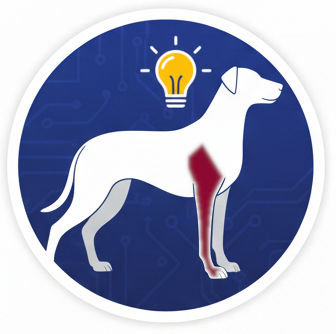 Etujalan lihakset koe